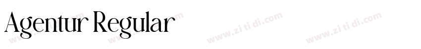 Agentur Regular字体转换 Agentur Regular字体转换